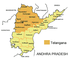 Telengana Rashtra Samiti MPs resign from Lok Sabha